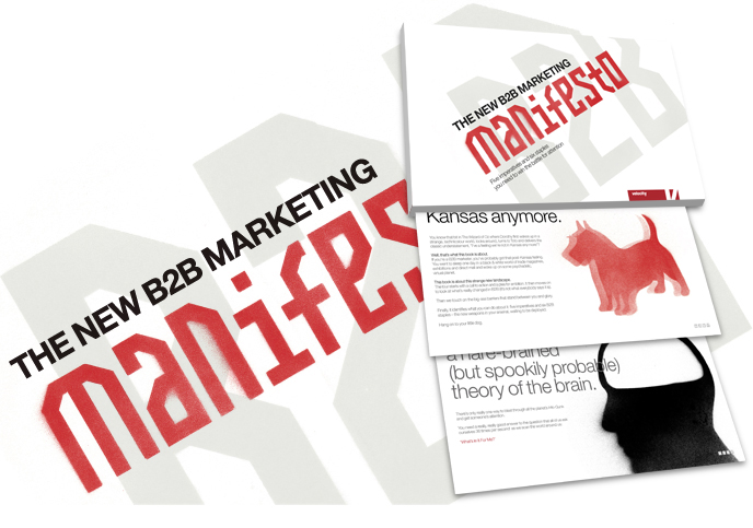 B2B Marketing Manifesto image